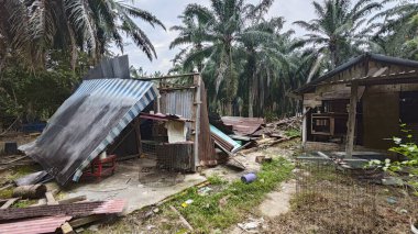 Dışardaki ve içerideki izole edilmiş, harap olmuş ve bakımsız bir ahşap kulübe..