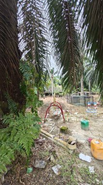 Dışardaki ve içerideki izole edilmiş, harap olmuş ve bakımsız bir ahşap kulübe..