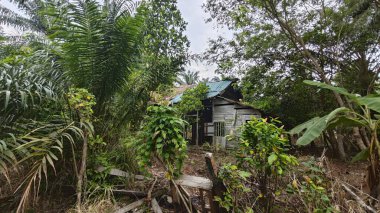 Dışardaki ve içerideki izole edilmiş, harap olmuş ve bakımsız bir ahşap kulübe..