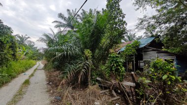 Dışardaki ve içerideki izole edilmiş, harap olmuş ve bakımsız bir ahşap kulübe..