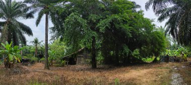 Dışardaki ve içerideki izole edilmiş, harap olmuş ve bakımsız bir ahşap kulübe..