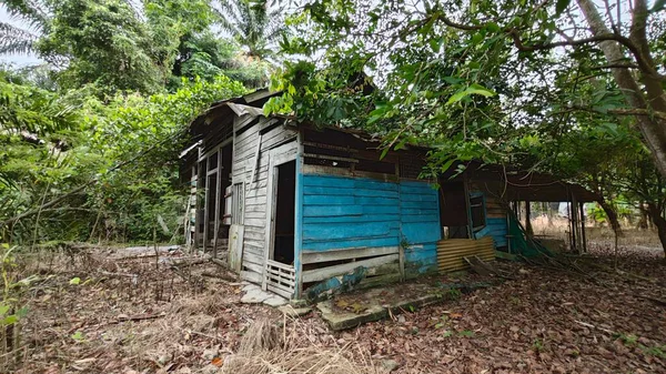 Dışardaki ve içerideki izole edilmiş, harap olmuş ve bakımsız bir ahşap kulübe..