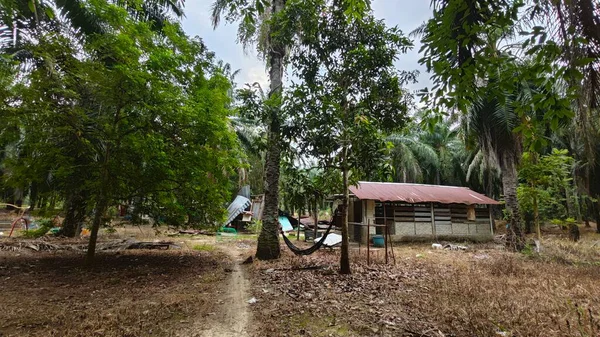 Dışardaki ve içerideki izole edilmiş, harap olmuş ve bakımsız bir ahşap kulübe..