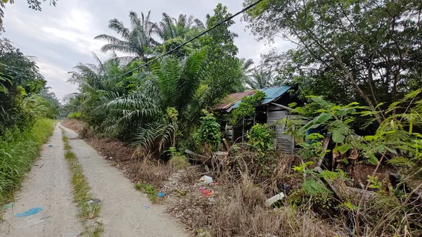 Dışardaki ve içerideki izole edilmiş, harap olmuş ve bakımsız bir ahşap kulübe..