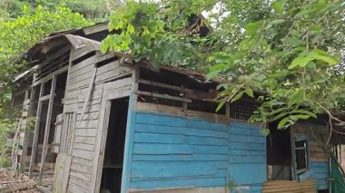 Dışardaki ve içerideki izole edilmiş, harap olmuş ve bakımsız bir ahşap kulübe.. 