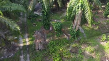 İkametgah evlerinin etrafında uçan bir erkek modelin havadan çekilmiş görüntüleri. İnşaat halindeki küçük boş arazisi var.. 