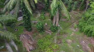 İkametgah evlerinin etrafında uçan bir erkek modelin havadan çekilmiş görüntüleri. İnşaat halindeki küçük boş arazisi var.. 