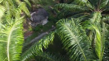 İkametgah evlerinin etrafında uçan bir erkek modelin havadan çekilmiş görüntüleri. İnşaat halindeki küçük boş arazisi var.. 