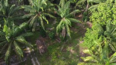 İkametgah evlerinin etrafında uçan bir erkek modelin havadan çekilmiş görüntüleri. İnşaat halindeki küçük boş arazisi var.. 