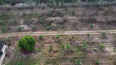 Çiftlikteki kırsal yolda insansız hava aracı uçuran bir adamın hava görüntüleri..      