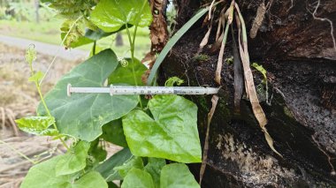 İzole edilmiş tarlada bulunan şırınga iğnesini atın..