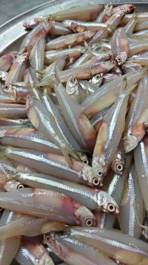 Satılık taze ançüez balıklarıyla dolu bir tepsi..