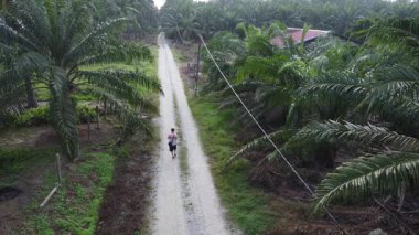 Aerial footage of a man model having a leisure activity walk along the rural pathway.   