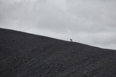 İki kişi turist krater yönünde uyuyan bir volkanın yamacına tırmanıyor.