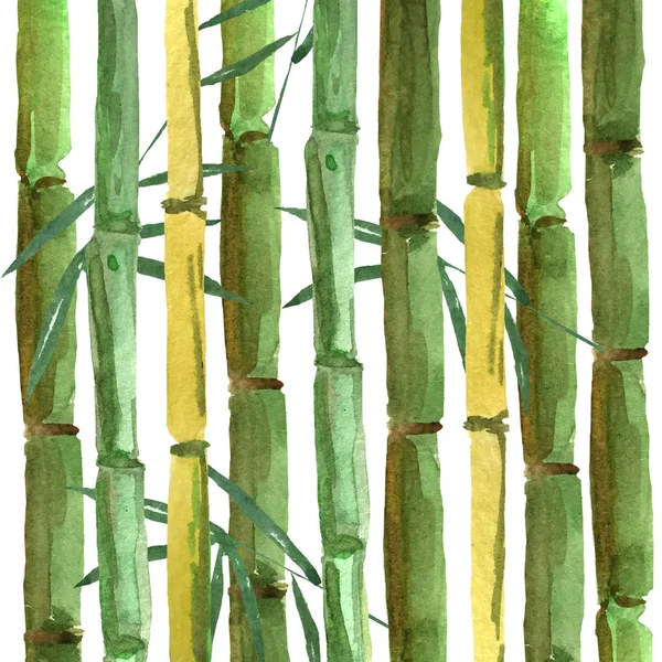 Fondo de bambú dibujado a mano con hojas. acuarela ilustración para el diseño y decoración de tarjetas, fondos de pantalla, invitaciones . —  Fotos de Stock