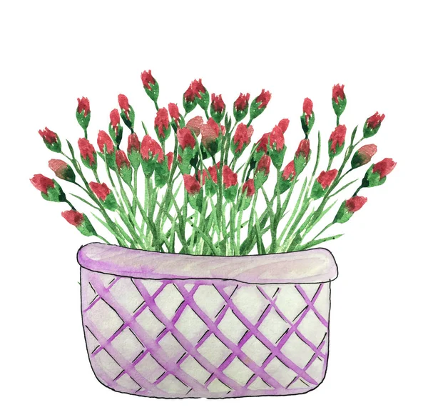 Bouquet of red flowers in a basket. Hand drawn watercolor illustration — Stock Photo, Image