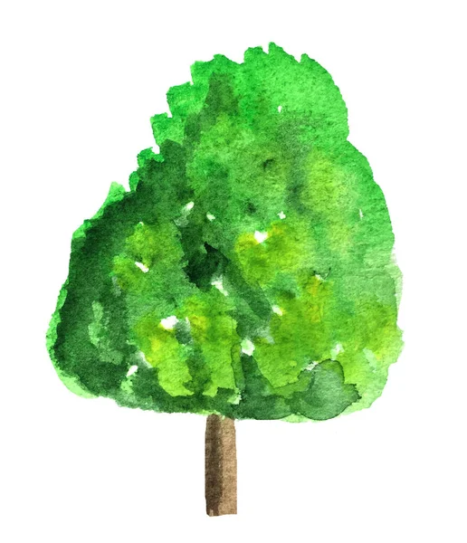 Watercolor tree on a white background. raster illustration for design — Stock Photo, Image