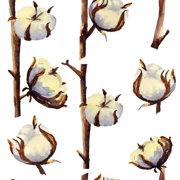 Patrón sin costuras de algodón y ramitas inflorescencias sobre un fondo blanco. Ilustración de acuarela para diseño — Foto de Stock