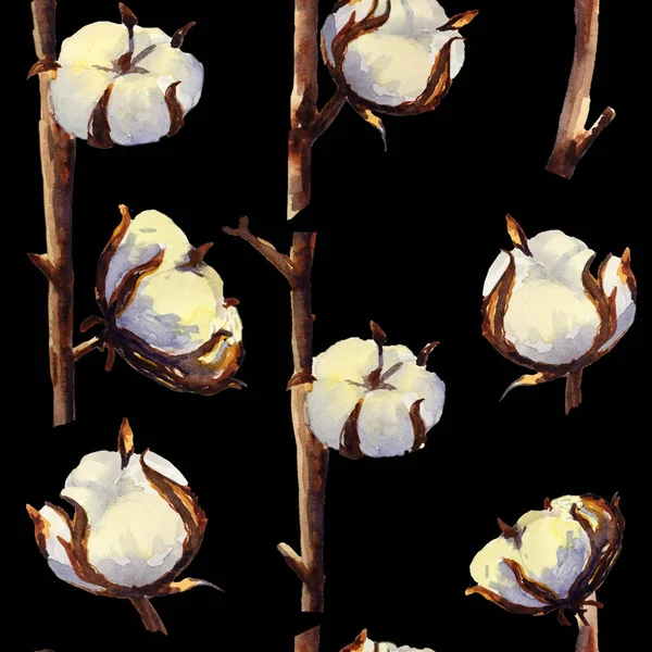 Patrón sin costuras de algodón y ramitas inflorescencias sobre un fondo negro. Ilustración en acuarela —  Fotos de Stock