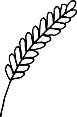 Buğday. doodle simgesi. vektör illüstrasyon, tasarım elemanı