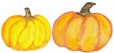 beyaz bir arka plan üzerinde iki kabak. baskılar, kartlar ve posterler tasarımı için suluboya illüstrasyon