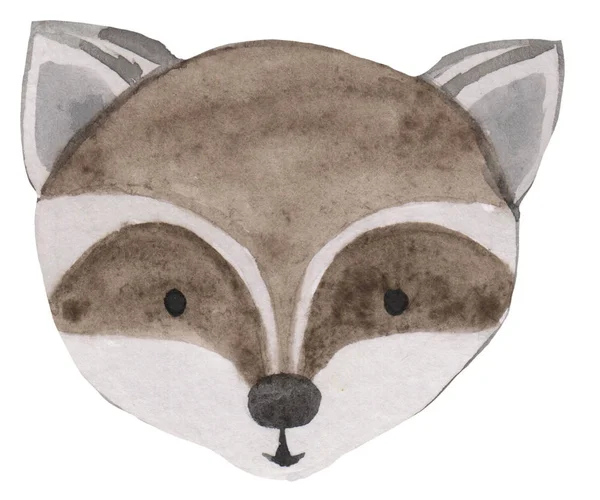 Portrait of a funny raccoon face on a white background. watercolor hand drawing cartoon illustration for prints, posters and cards. animal emotions — Stock Photo, Image