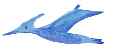 Karikatür beyaz bir arka plan üzerinde sevimli pterodactyl. Bebek giysileri, baskılar ve posterler için dino kırıntıları suluboya illüstrasyon.