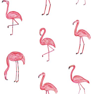 Farklı flamingoların deseni. Baskılar ve posterler için el çizim illüstrasyon.