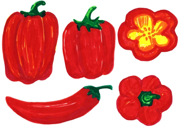 Set paprika en hete pepers. raster illustratie, vilt-Tip pen tekening — Stockfoto