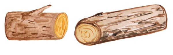 Tronchi rotondi marroni su sfondo bianco. illustrazione acquerello piccola legna da ardere rotonda per stampe, design e poster — Foto Stock