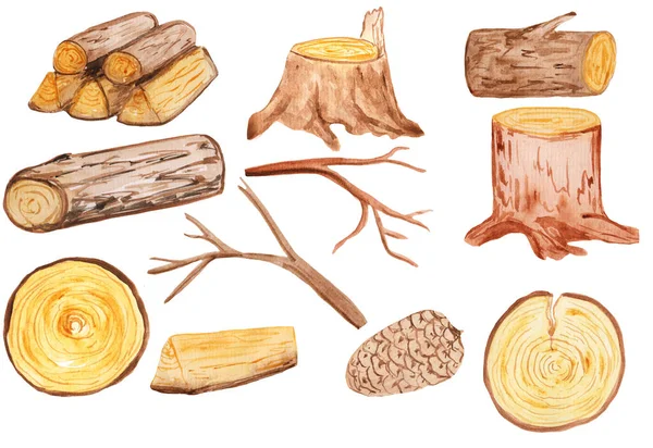 Legno materiale naturale, tronchi in colore marrone acqua. Tronchi forestali, tronchi tagliati grezzi e grandi alberi caduti. acquerello illustrazione, natura — Foto Stock