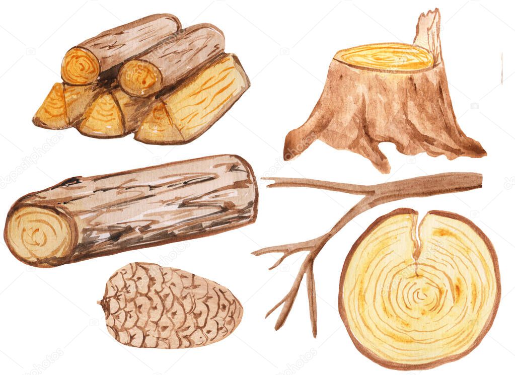a large set of wooden elements - stump, firewood, cones, branches, logs and round saw cuts. aqua illustration for prints, design and cards. hike and walks, eco style. rustic