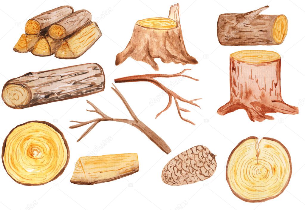 Wood natural material, logs in brown water color. Forest trunks, rough cut logs and large tree fallen. watercolor illustration, nature