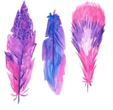 Pembe ve leylak renginde tüyler. Baskılar, kartlar, tasarım ve dergiler için suluboya çizimi.