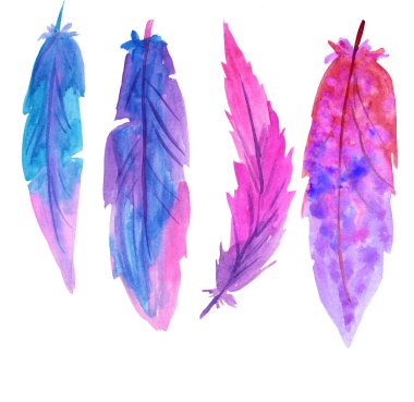 Dört tüy pembe ve mor. Baskılar, kartlar, tasarım ve dergiler için suluboya çizimi.