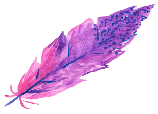 Pluma de color claro. Pluma de pájaro lila y rosa sobre fondo blanco. ilustración de acuarela para impresiones, diseño, tarjetas — Foto de Stock