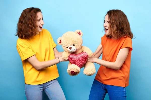 Young, angry sisters arguing, dont want to give a toy to each other — Stock Photo, Image