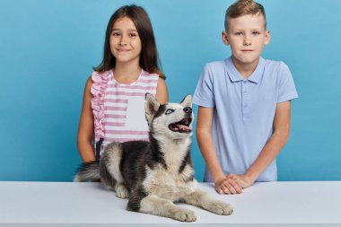 küçük korkmuş çocuklar köpekleri havlayan korkuyor