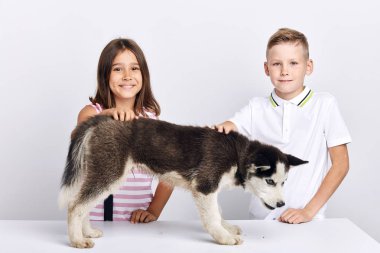 gülümseyen plesant çocuklar hasta, hasta köpek bakmak