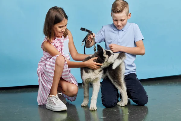 Bambini in affitto, andare, prepararsi a camminare con un cane — Foto Stock