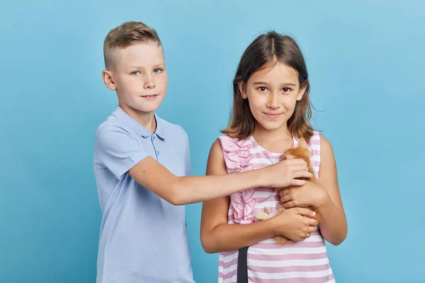 Attraktive Jungen und Mädchen haben verirrtes Kätzchen auf der Straße gefunden — Stockfoto