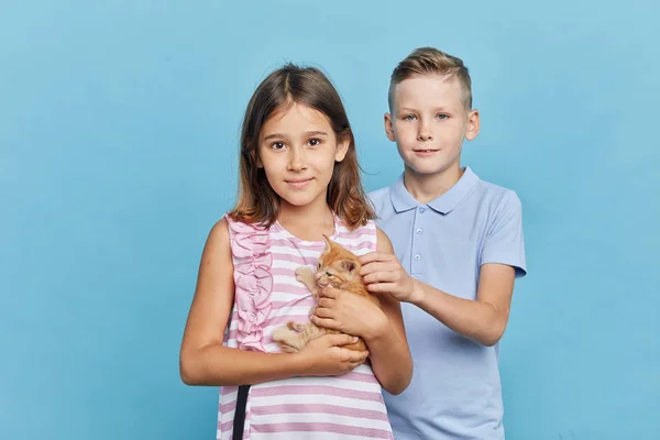 Kleine Kinder schützen streunende Tiere — Stockfoto