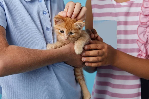 Enfants caressant leur adorable chaton — Photo