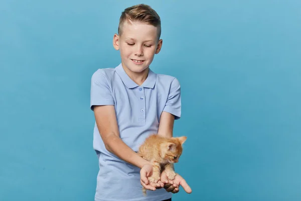 Lycklig liten pojke leker med sällskapsdjur inomhus — Stockfoto