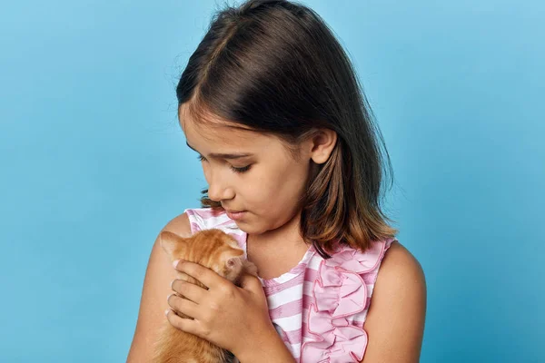 Amável menina morena amigável beijando seu pequeno gato — Fotografia de Stock