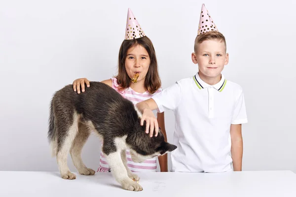 Niños amigables adoran su, perro, celebrando cumpleaños — Foto de Stock