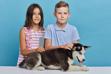 Hoş bir kız ve oğlan stüdyoda Sibirya kurt köpeğiyle eğleniyor..