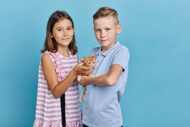 Kız ve erkek kardeş bir kedi yavrusuyla eğleniyor.