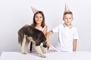Çocuklar köpeklerini severler, doğum günleriyle kutlarlar.