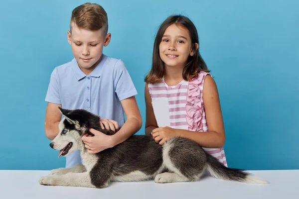 Fratello e sorella prendersi cura di animale domestico — Foto Stock